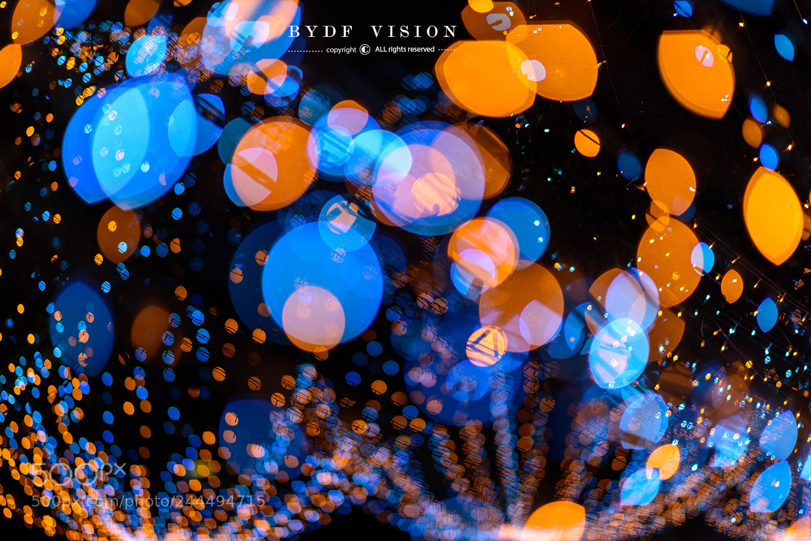 Nikon D810 sample photo. Untitled photography