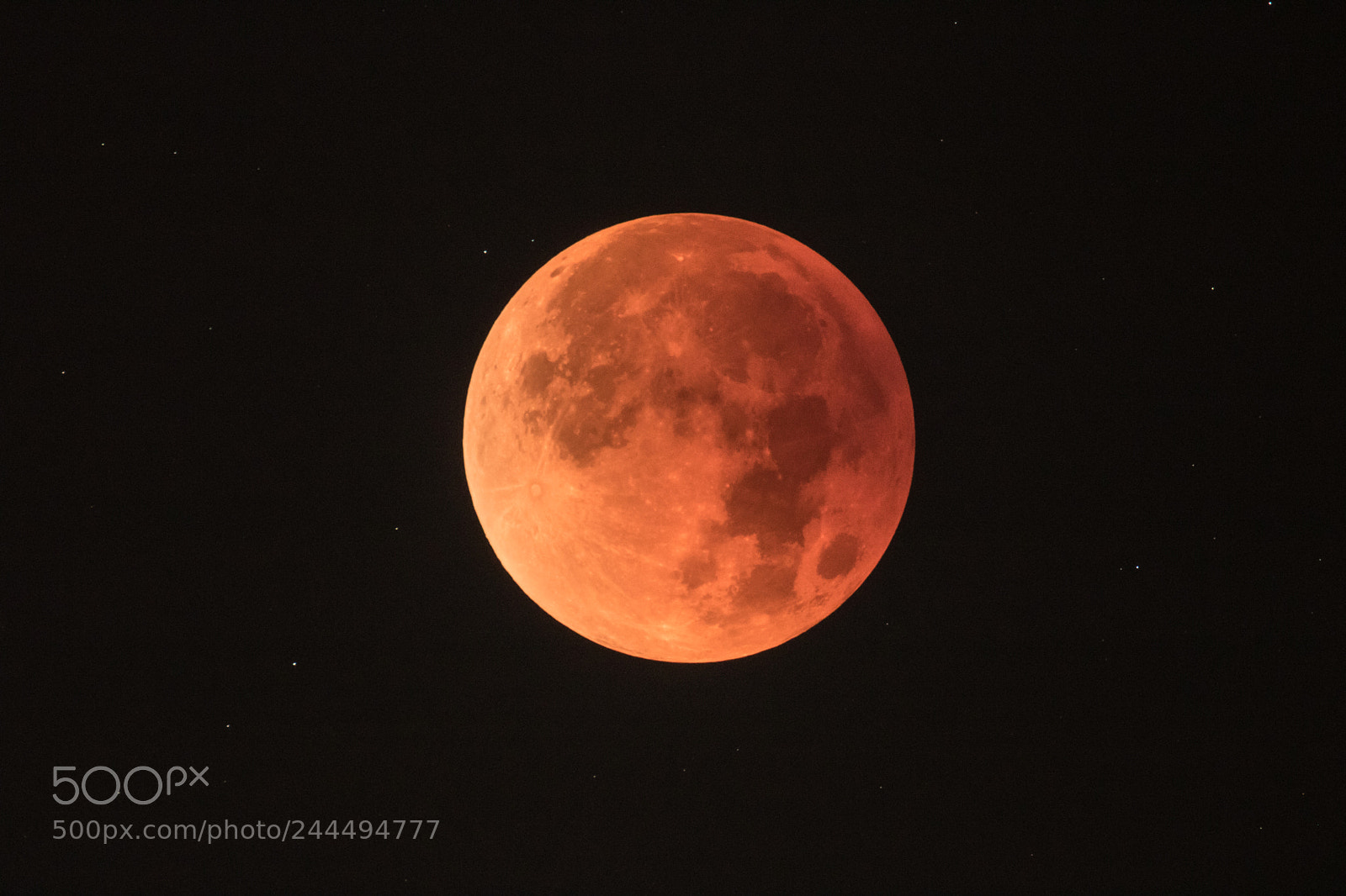 Canon EOS 760D (EOS Rebel T6s / EOS 8000D) sample photo. Super blue blood moon 2018 photography