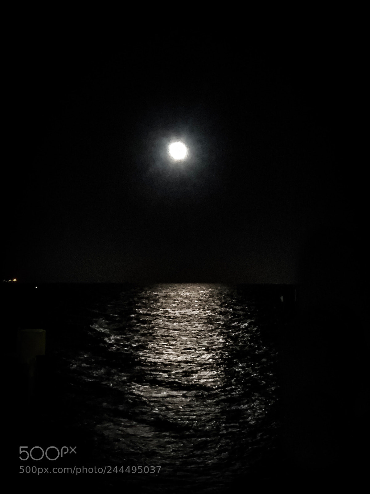 Apple iPhone 6s sample photo. Untitled photography
