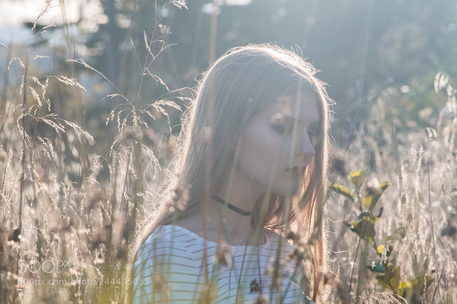 Nikon D7500 sample photo. Golden straws photography