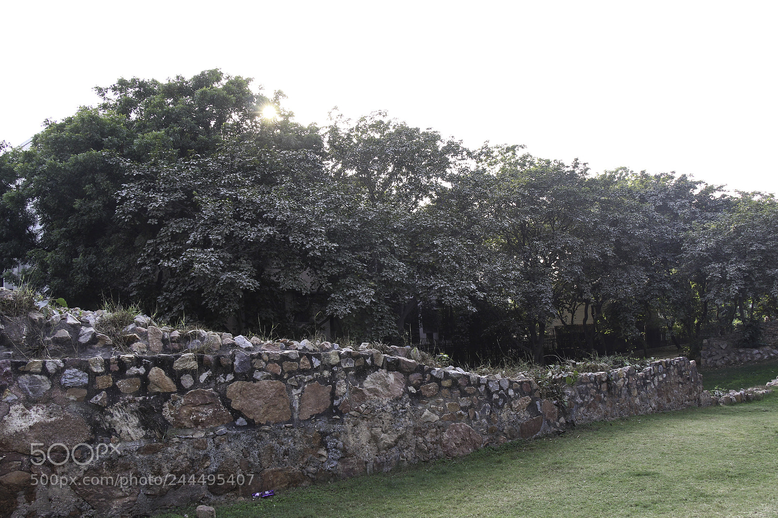 Canon EOS 650D (EOS Rebel T4i / EOS Kiss X6i) sample photo. Stone wall along the photography