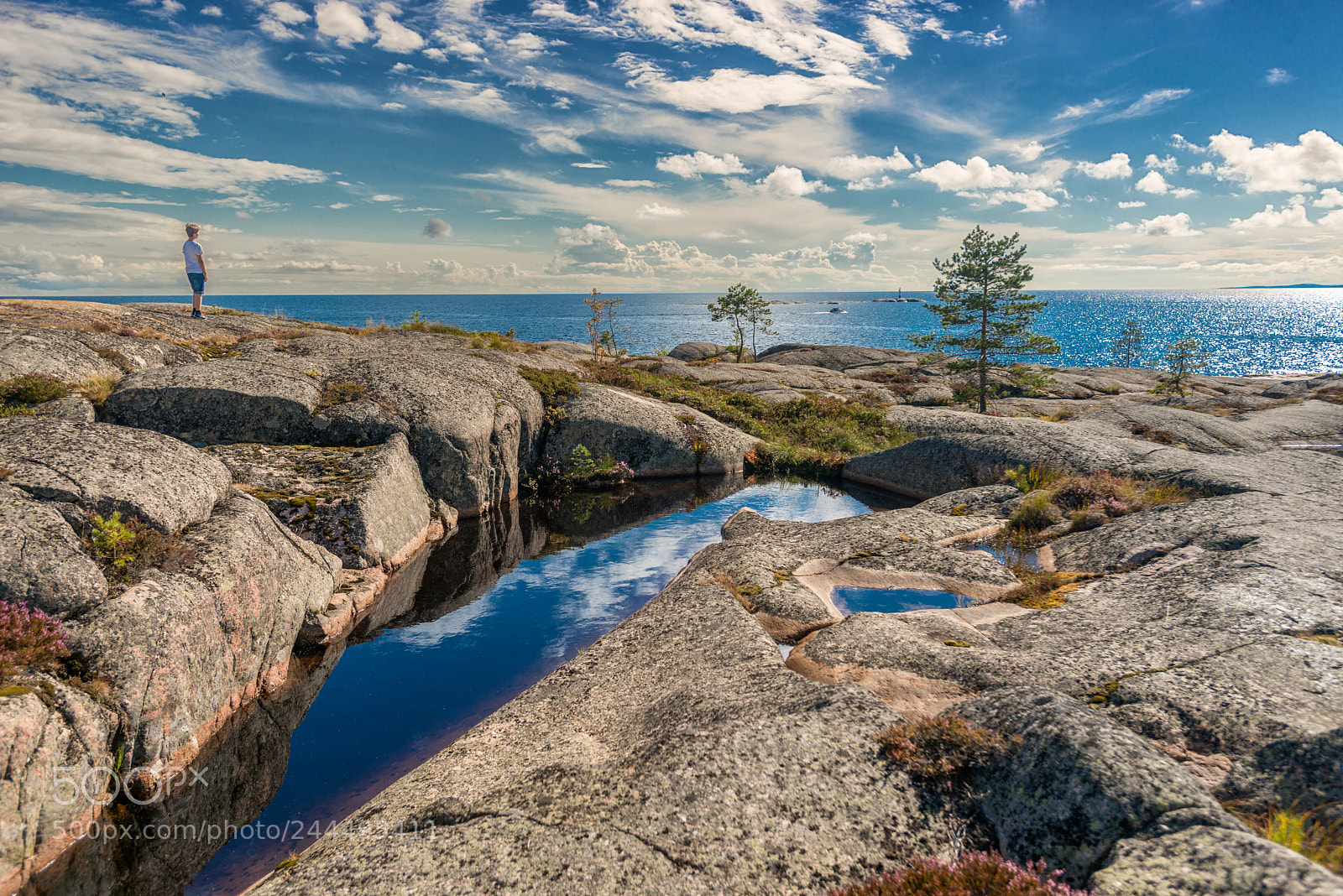 Nikon D800 sample photo. Skagsudde. a sunny summerday photography