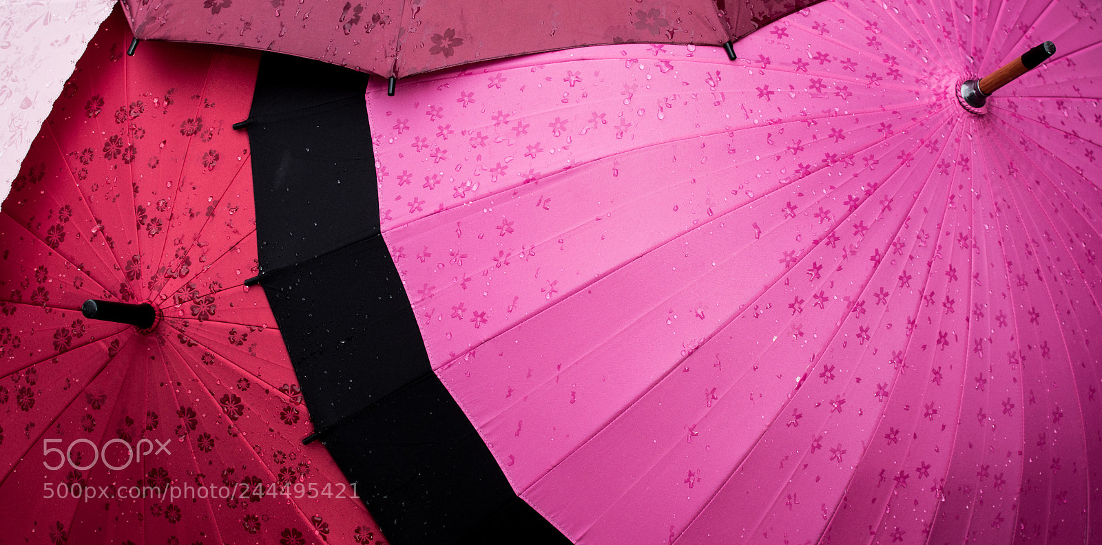 Nikon D3200 sample photo. Umbrellas in the rain photography
