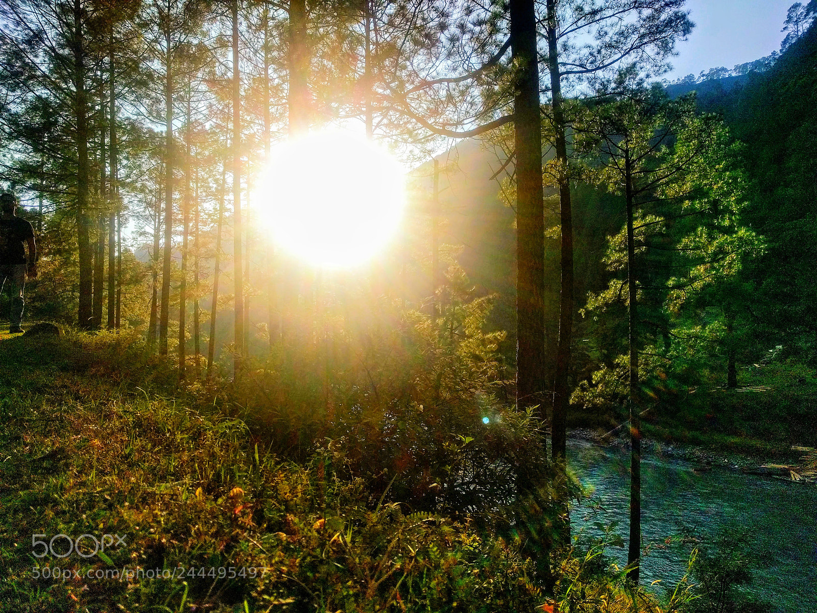 LG Nexus 5X sample photo. Rupin river, uttrakhand photography