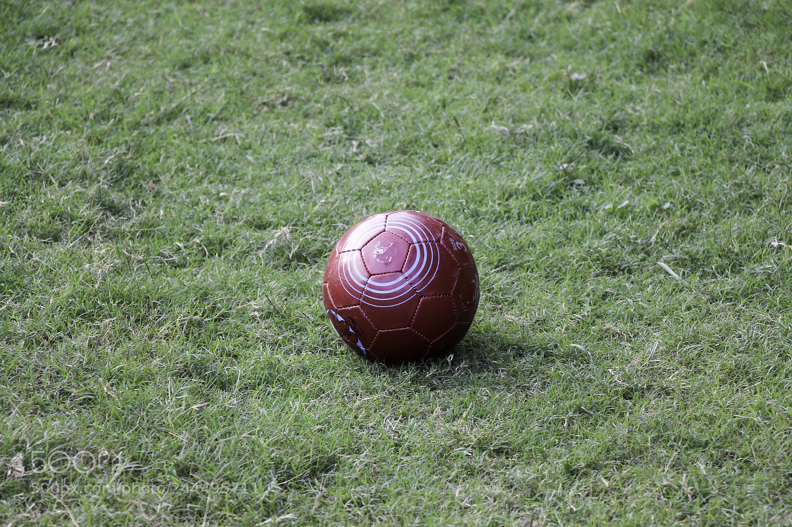 Canon EOS 650D (EOS Rebel T4i / EOS Kiss X6i) sample photo. Red football on the photography