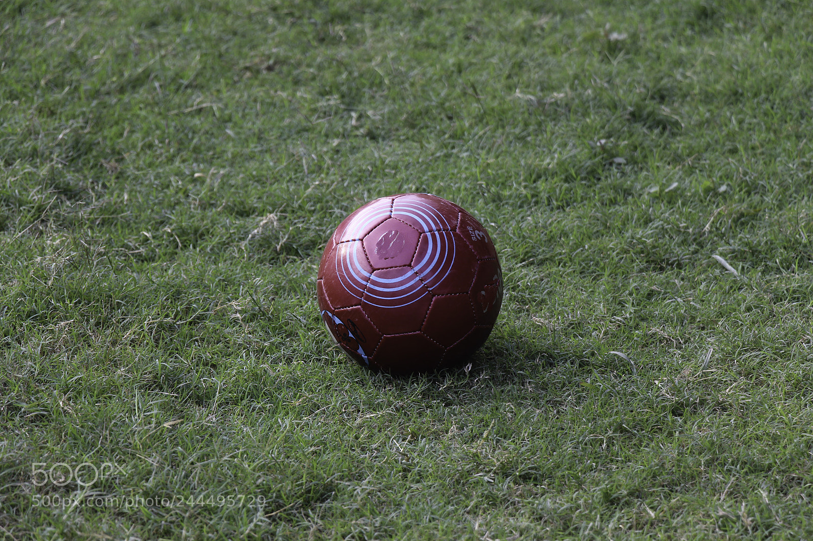 Canon EOS 650D (EOS Rebel T4i / EOS Kiss X6i) sample photo. Red soccer ball waiting photography