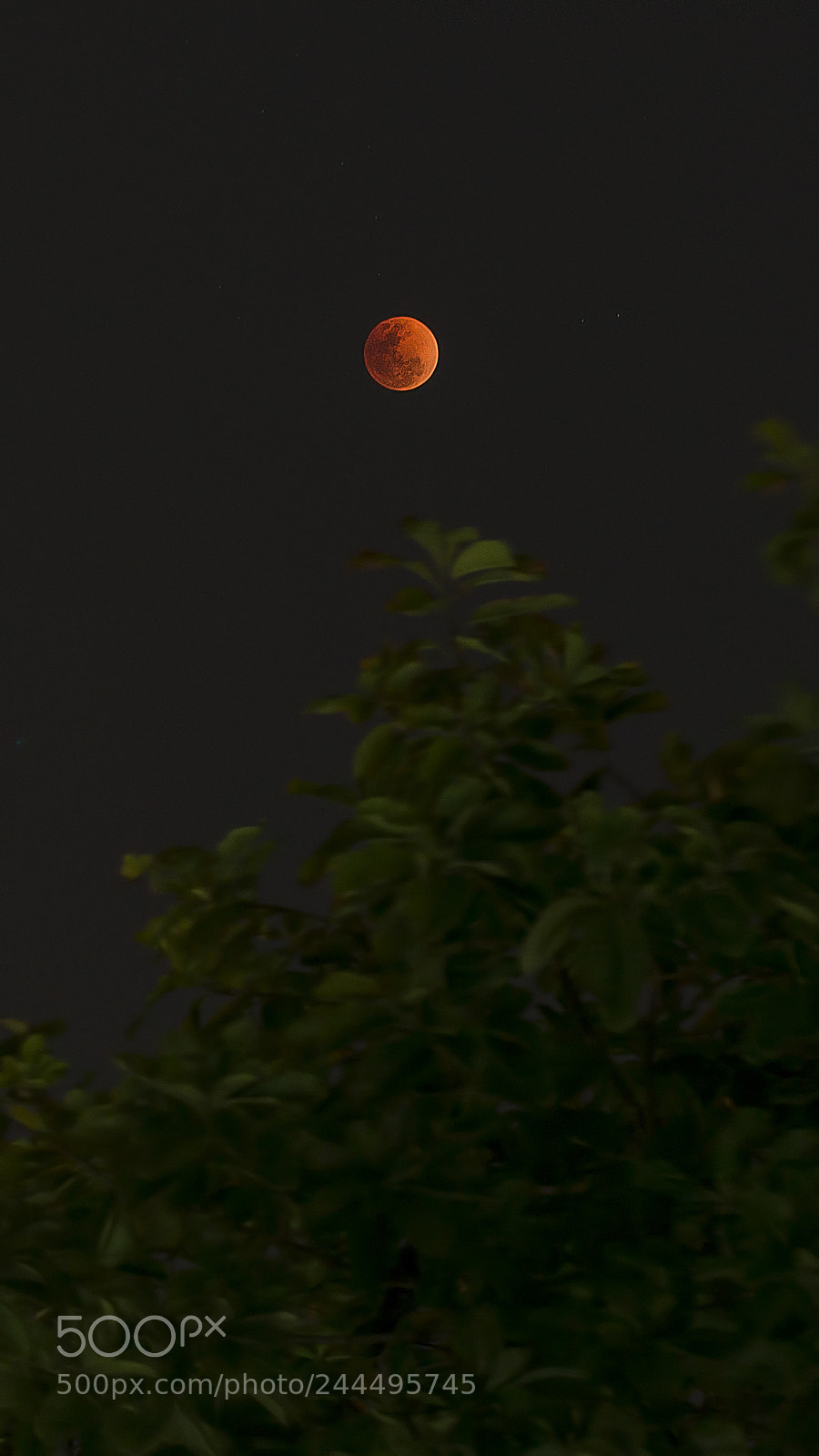 Nikon D800E sample photo. Eclipse as seen from photography
