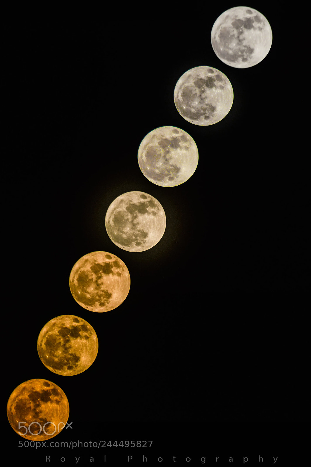 Nikon D3200 sample photo. Untitled photography