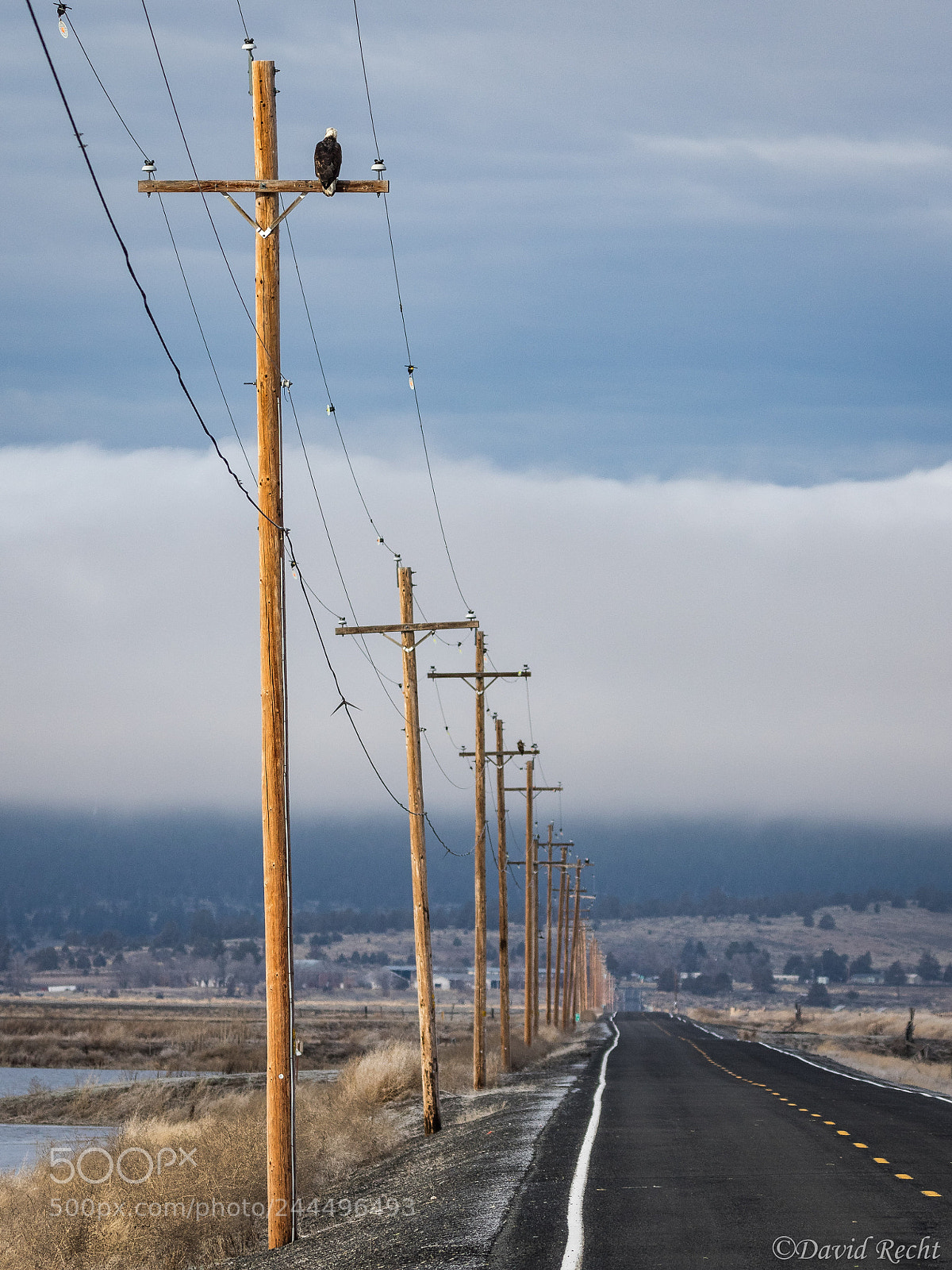 Canon EOS 7D Mark II sample photo. Along the road photography