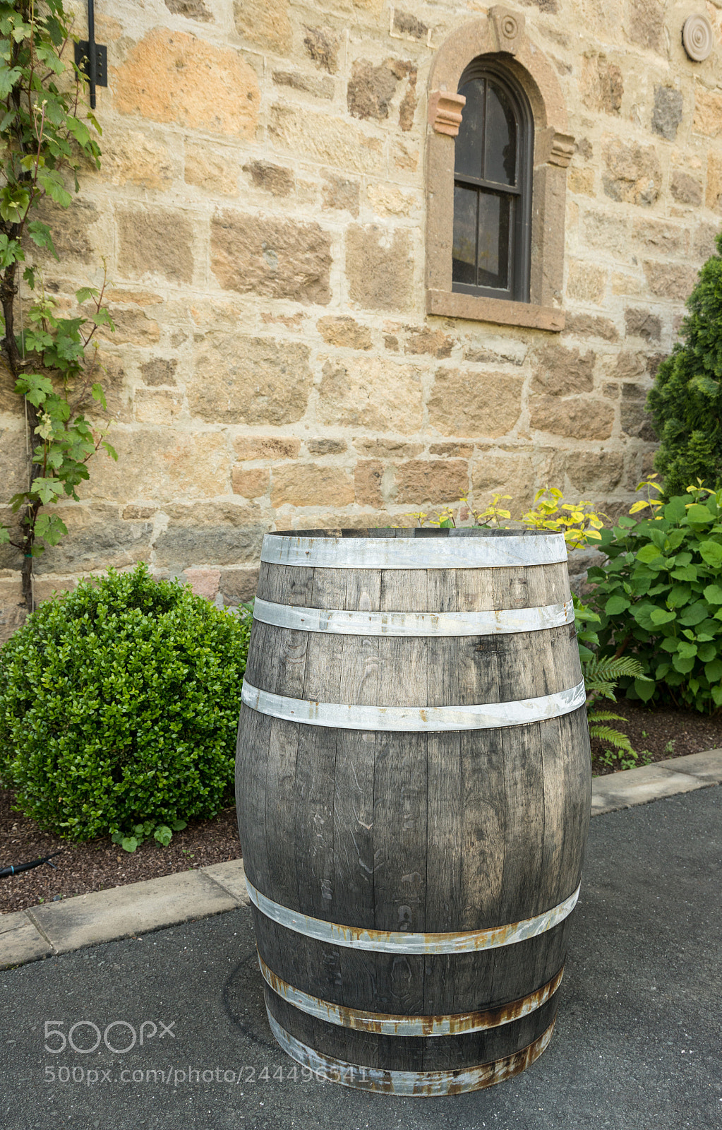Sony a7R II sample photo. Old wooden wine barrel photography