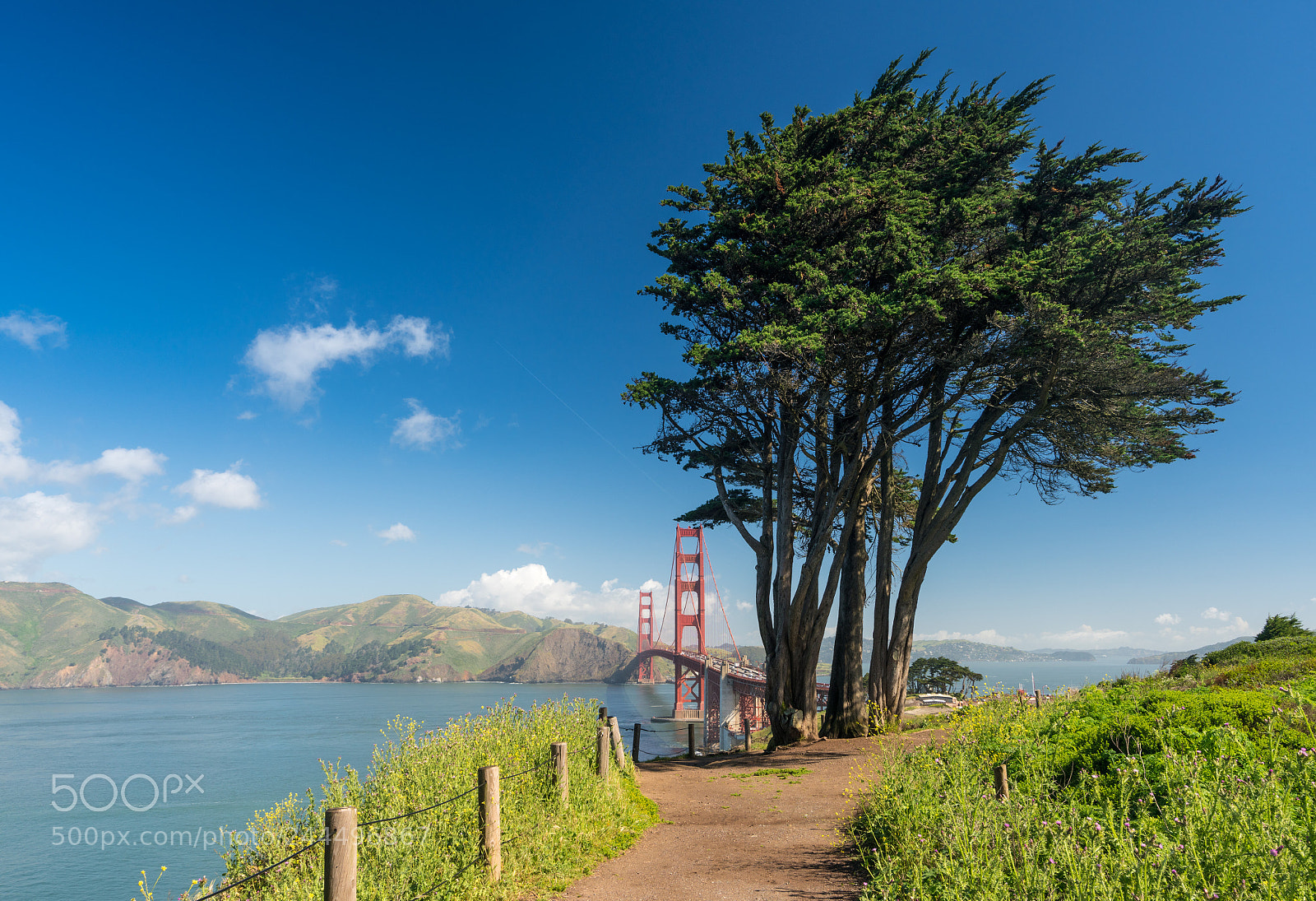 Sony a7R II sample photo. Marin headlands and golden photography