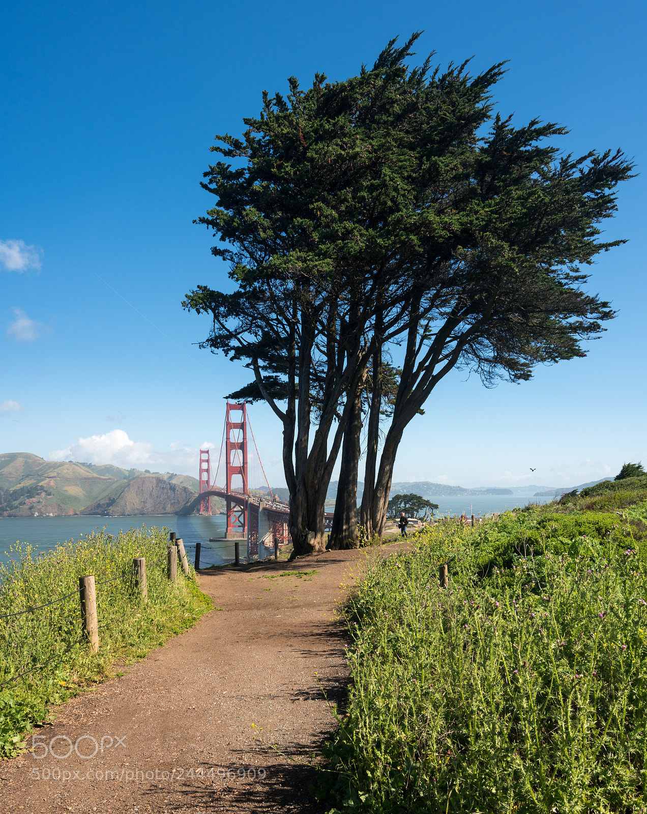 Sony a7R II sample photo. Marin headlands and golden photography