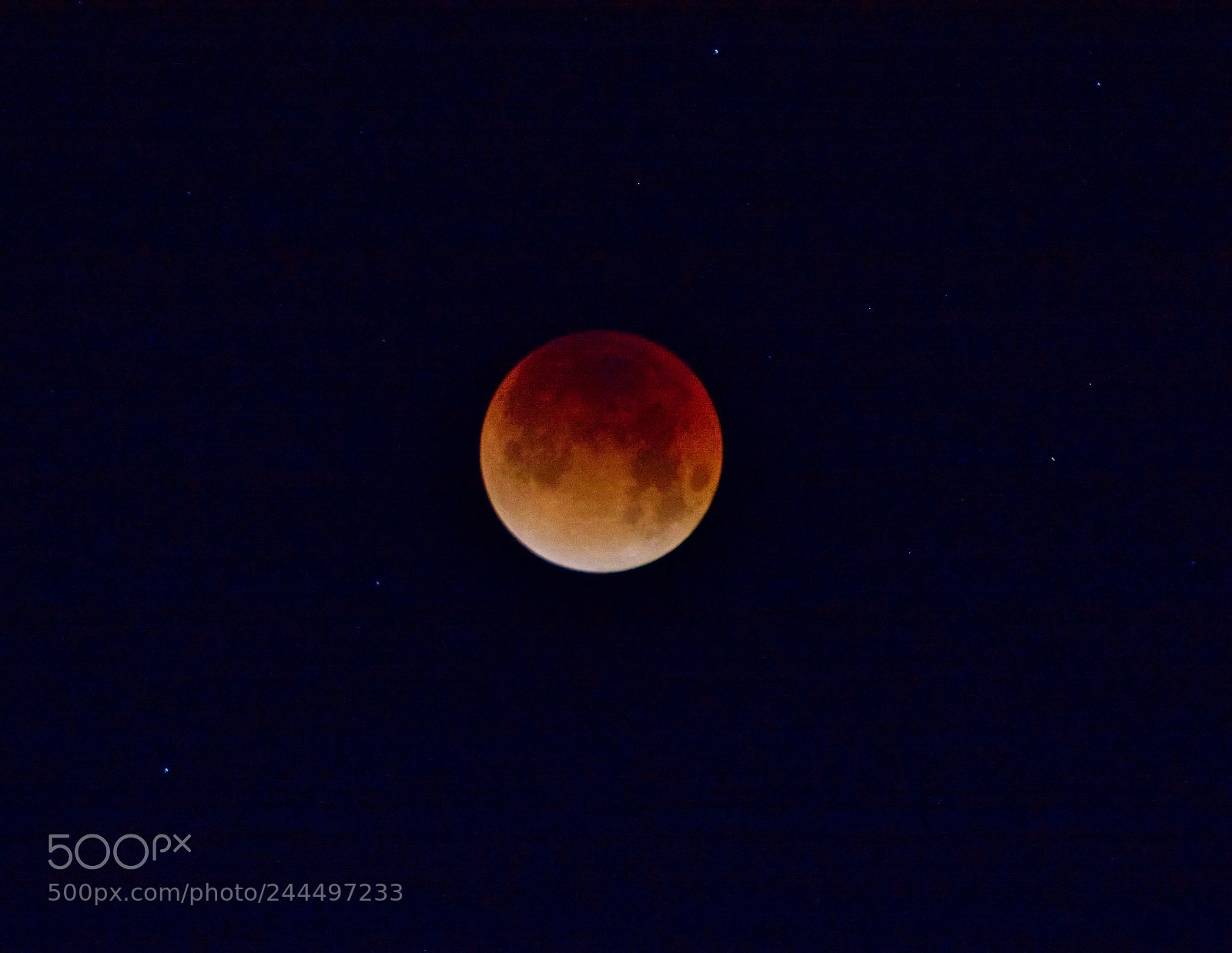 Nikon D7100 sample photo. Super red moon california photography