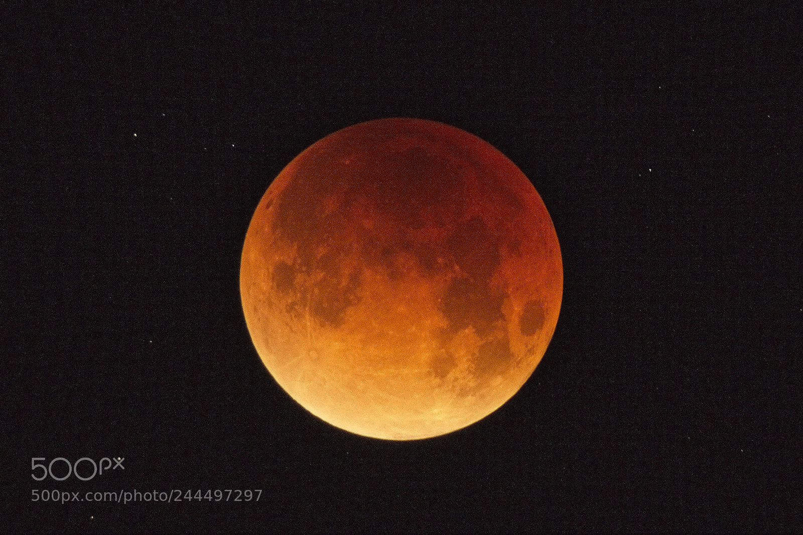 Sony a7R II sample photo. Super blue blood moon photography