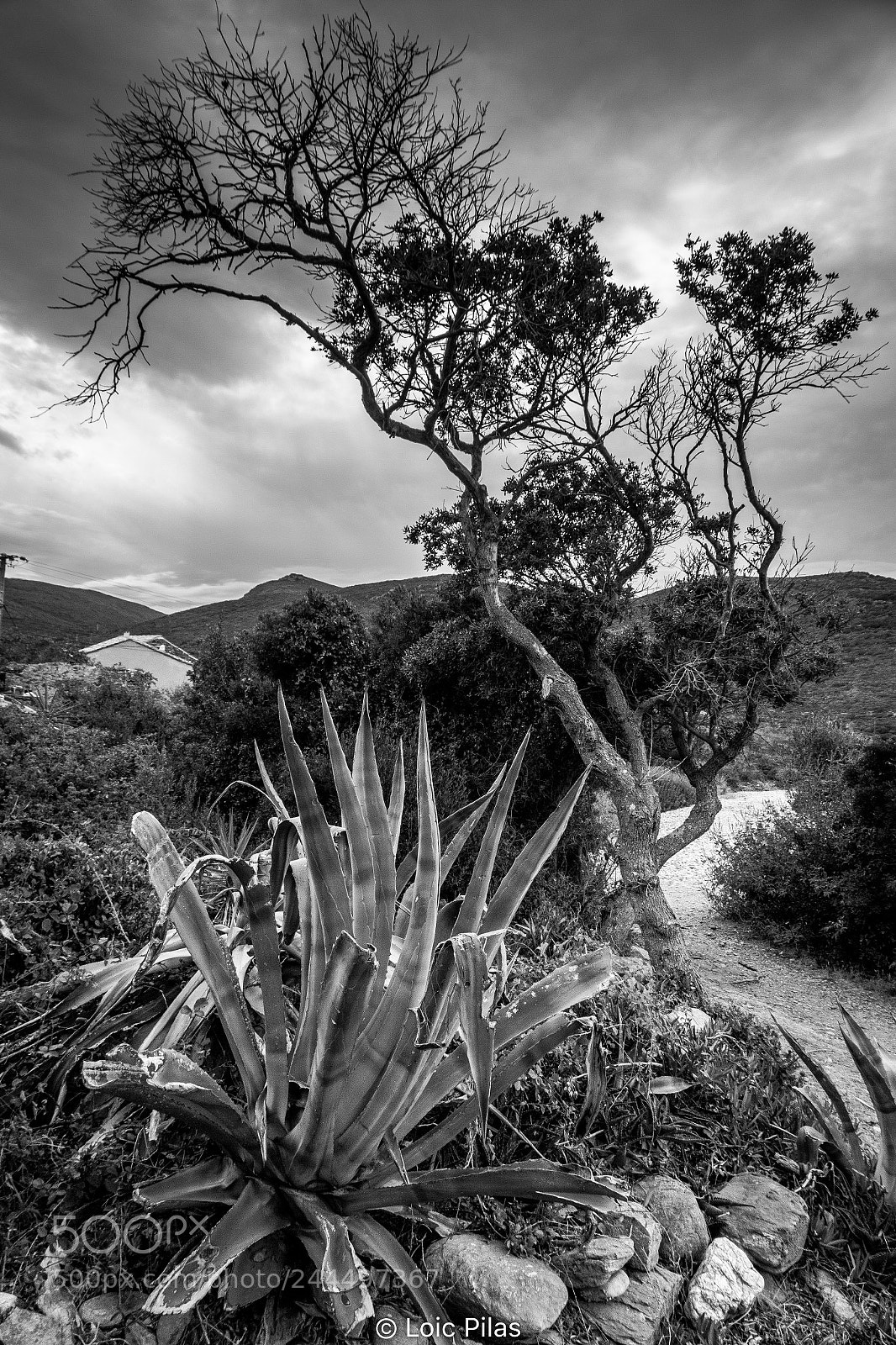 Canon EOS 60D sample photo. Corse photography