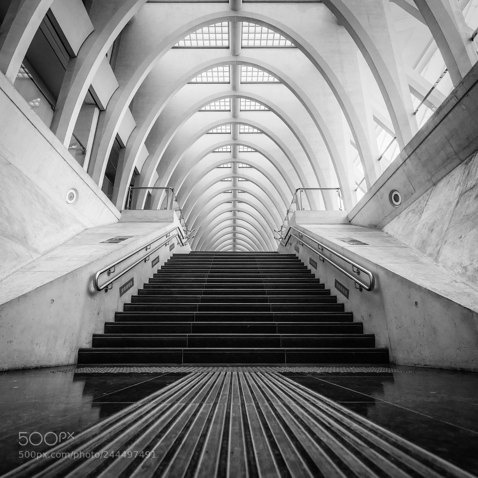 Nikon D810 sample photo. Liège-guillemins -stairs square- photography