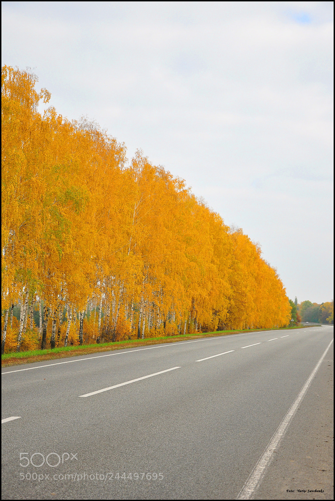 Nikon D90 sample photo. Осень photography