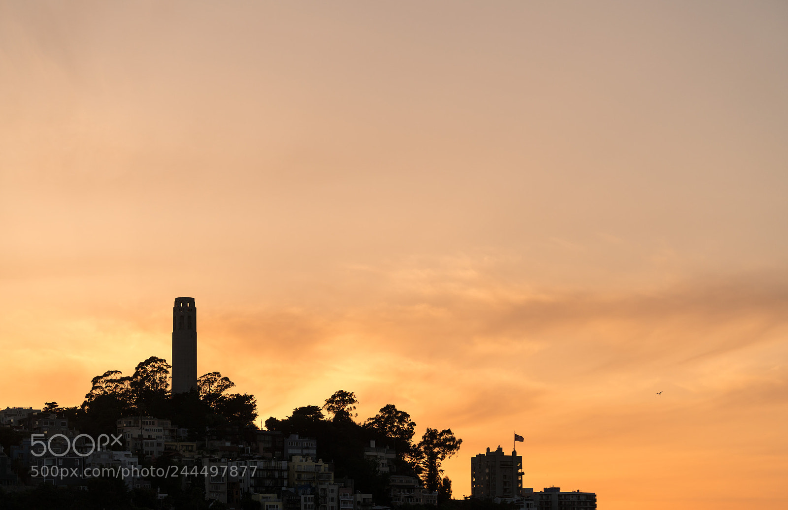Sony a7R II sample photo. Coit tower at sunset photography
