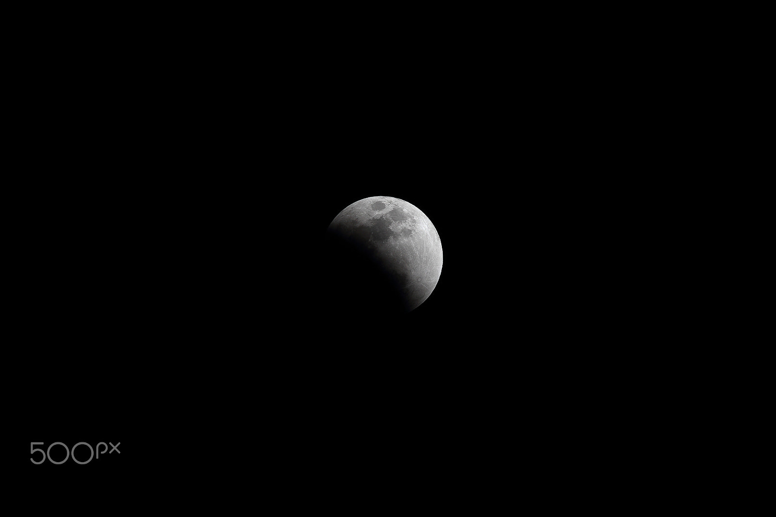 Sigma 150-600mm F5-6.3 DG OS HSM | C sample photo. For m photography