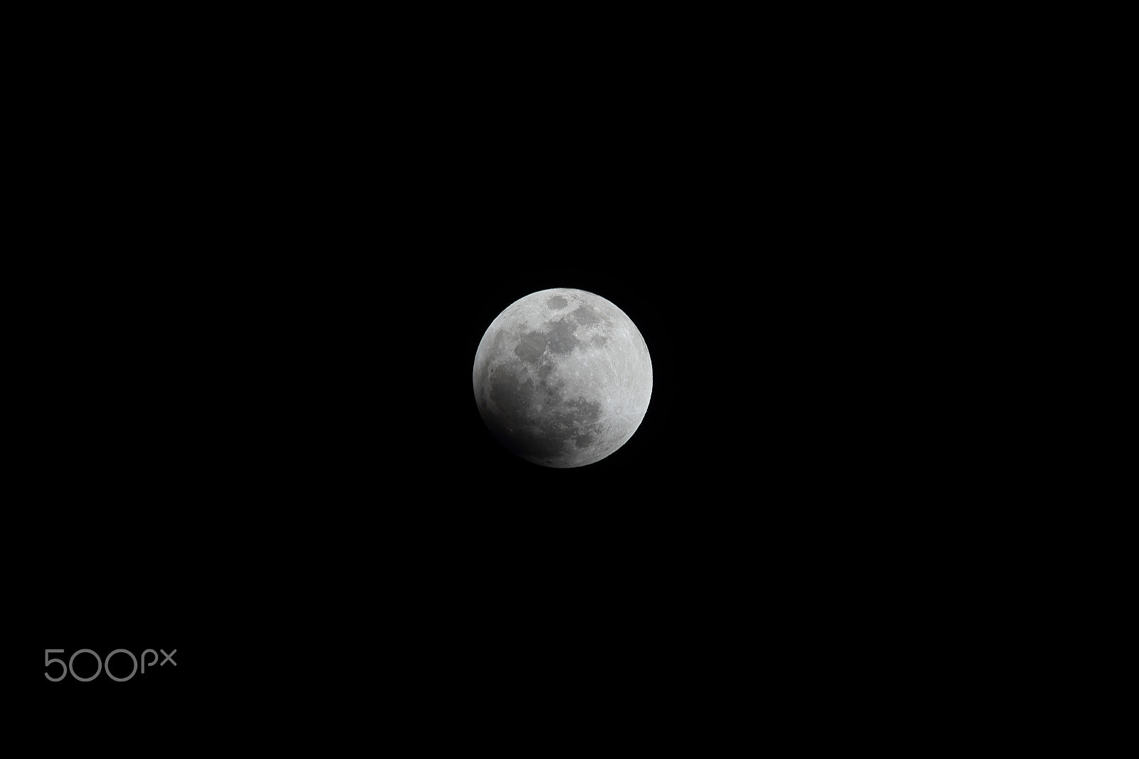 Sigma 150-600mm F5-6.3 DG OS HSM | C sample photo. For m photography