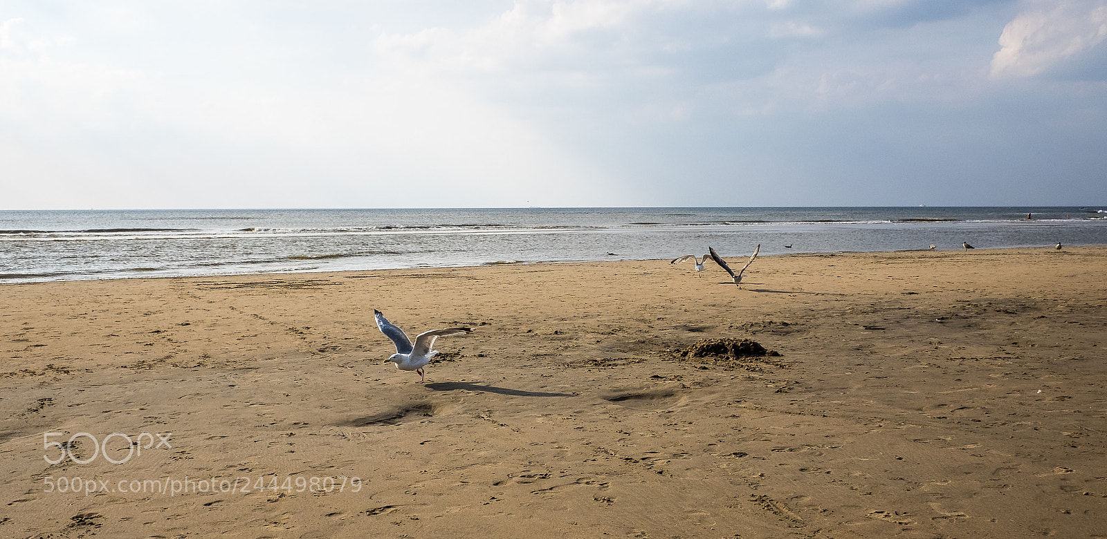 Fujifilm X70 sample photo. Take off photography