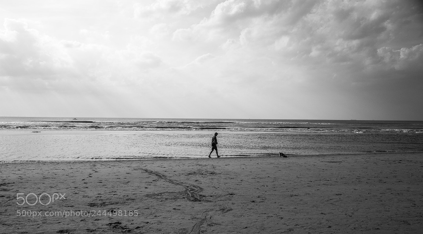 Fujifilm X70 sample photo. Lonely walking at the photography
