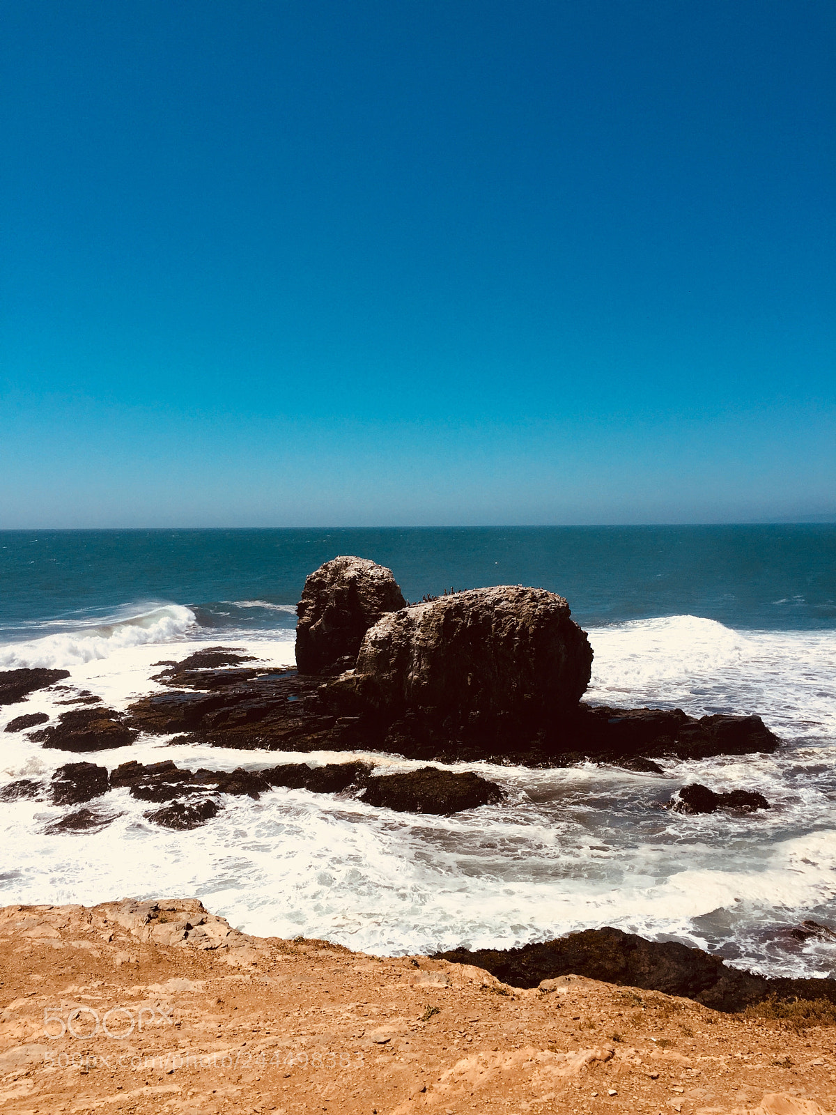 Apple iPhone 6 sample photo. Lobos de punta photography