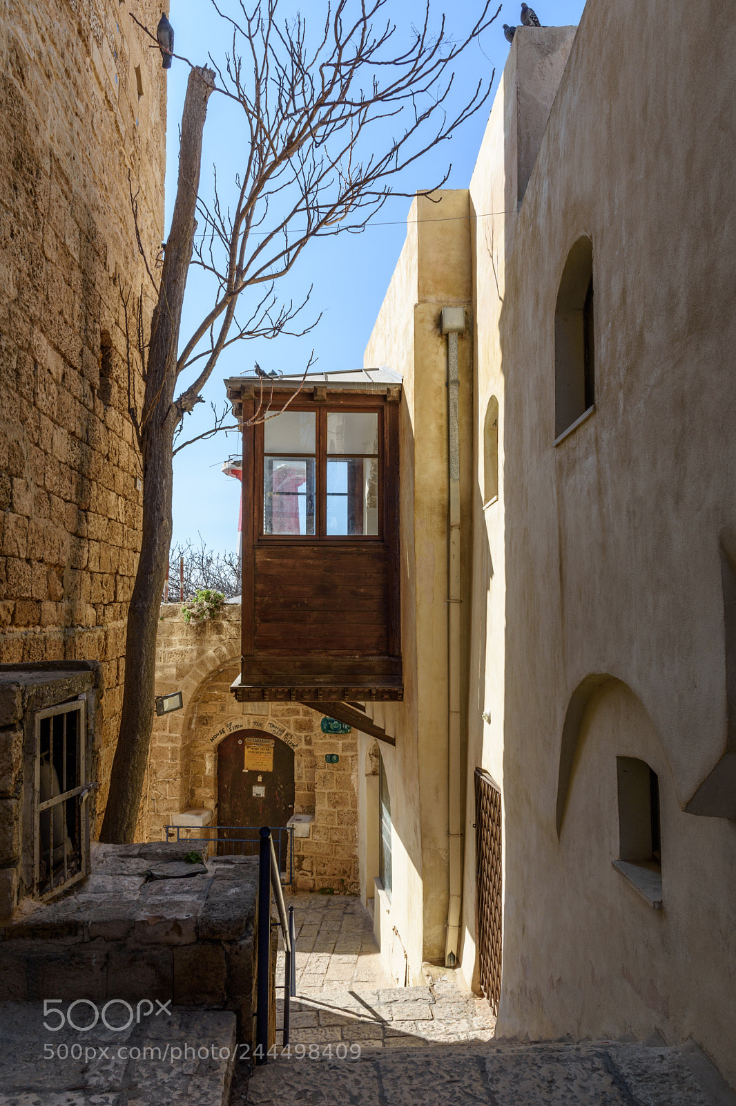 Nikon D7200 sample photo. A beautiful alley at photography