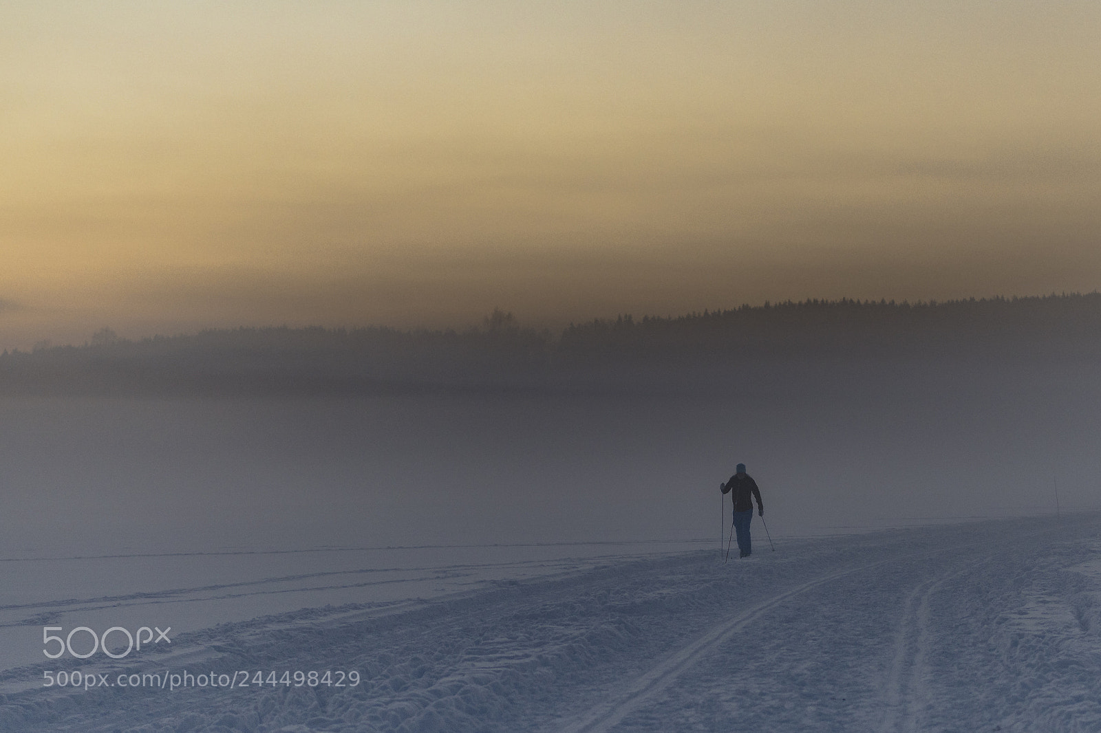 Nikon D850 sample photo. Skiing alone photography