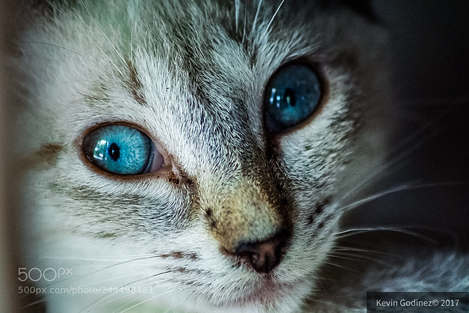 Sony ILCA-77M2 sample photo. Mirada photography