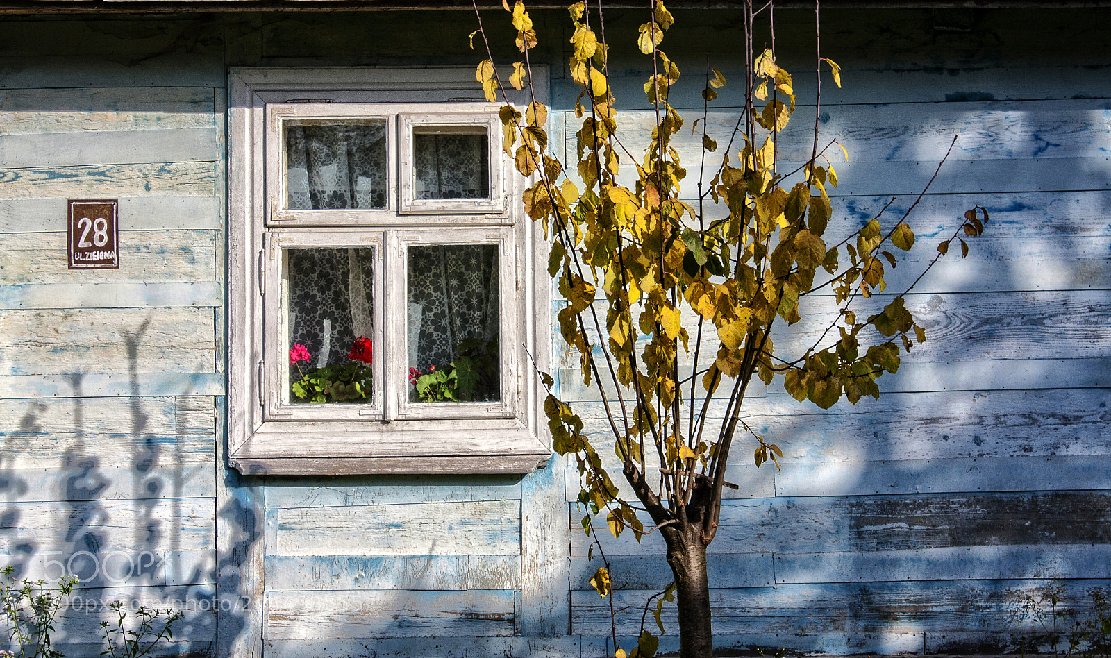 Canon EOS 40D sample photo. The house of ordinary photography