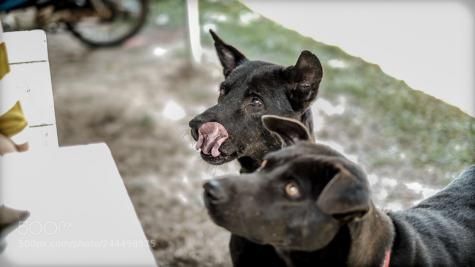 Fujifilm X-E3 sample photo. I’m hungry photography