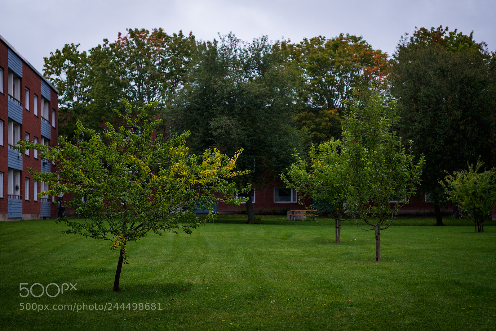Fujifilm X-T10 sample photo. Depth photography