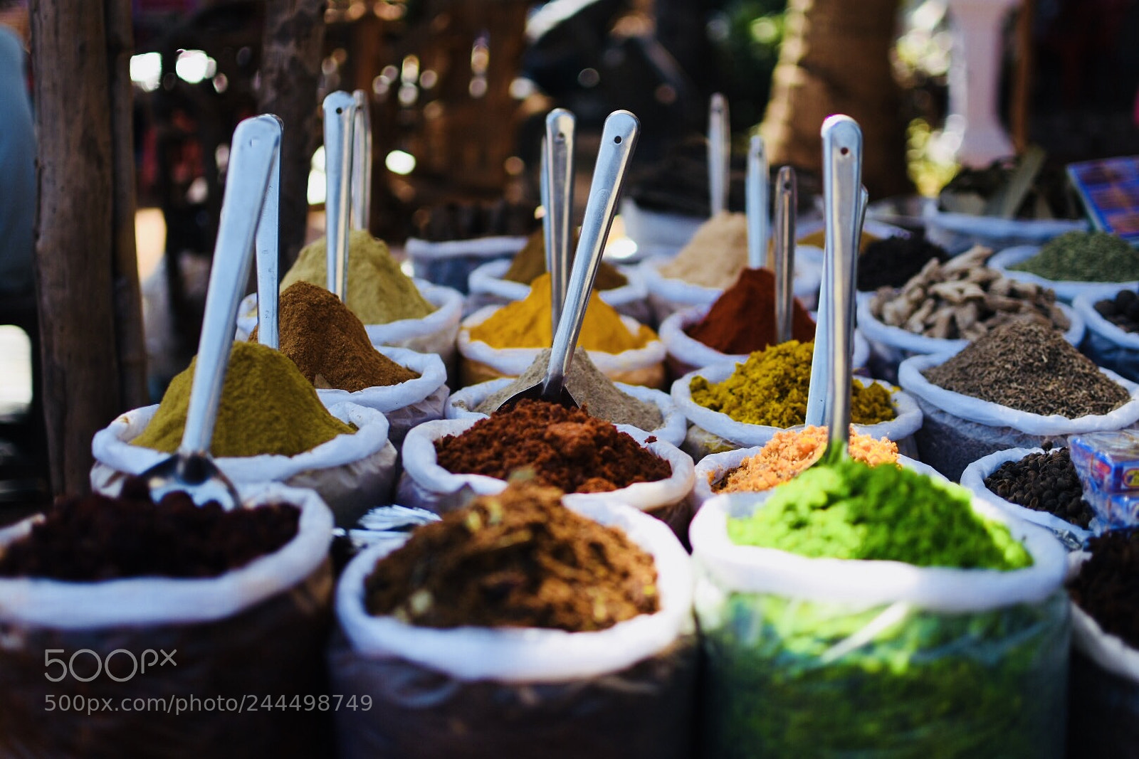 Nikon D7200 sample photo. Indian spices in goa photography