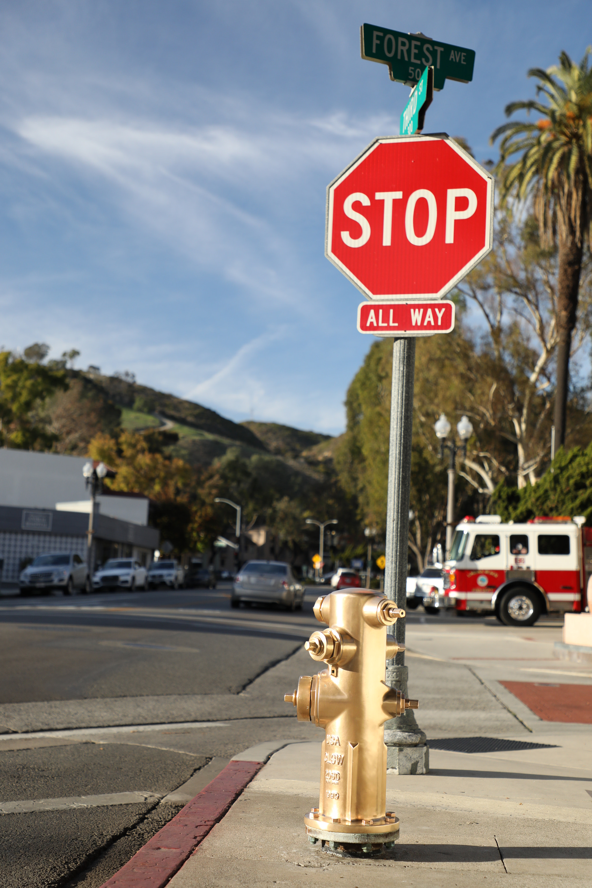 Canon EF 24-105mm F4L IS II USM sample photo. Golden fire hydrant photography