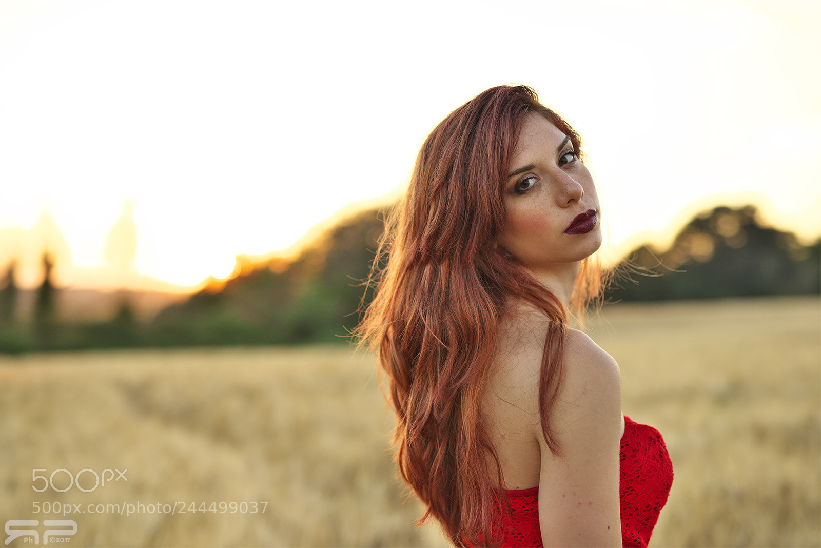 Nikon D810 sample photo. Antonella rouge photography
