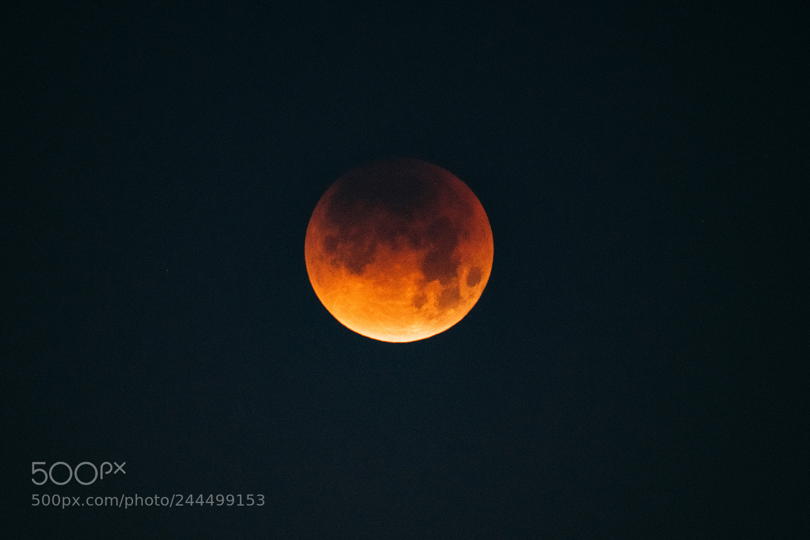 Sony a7R III sample photo. Lunar eclipse /// january 31, 2018 photography