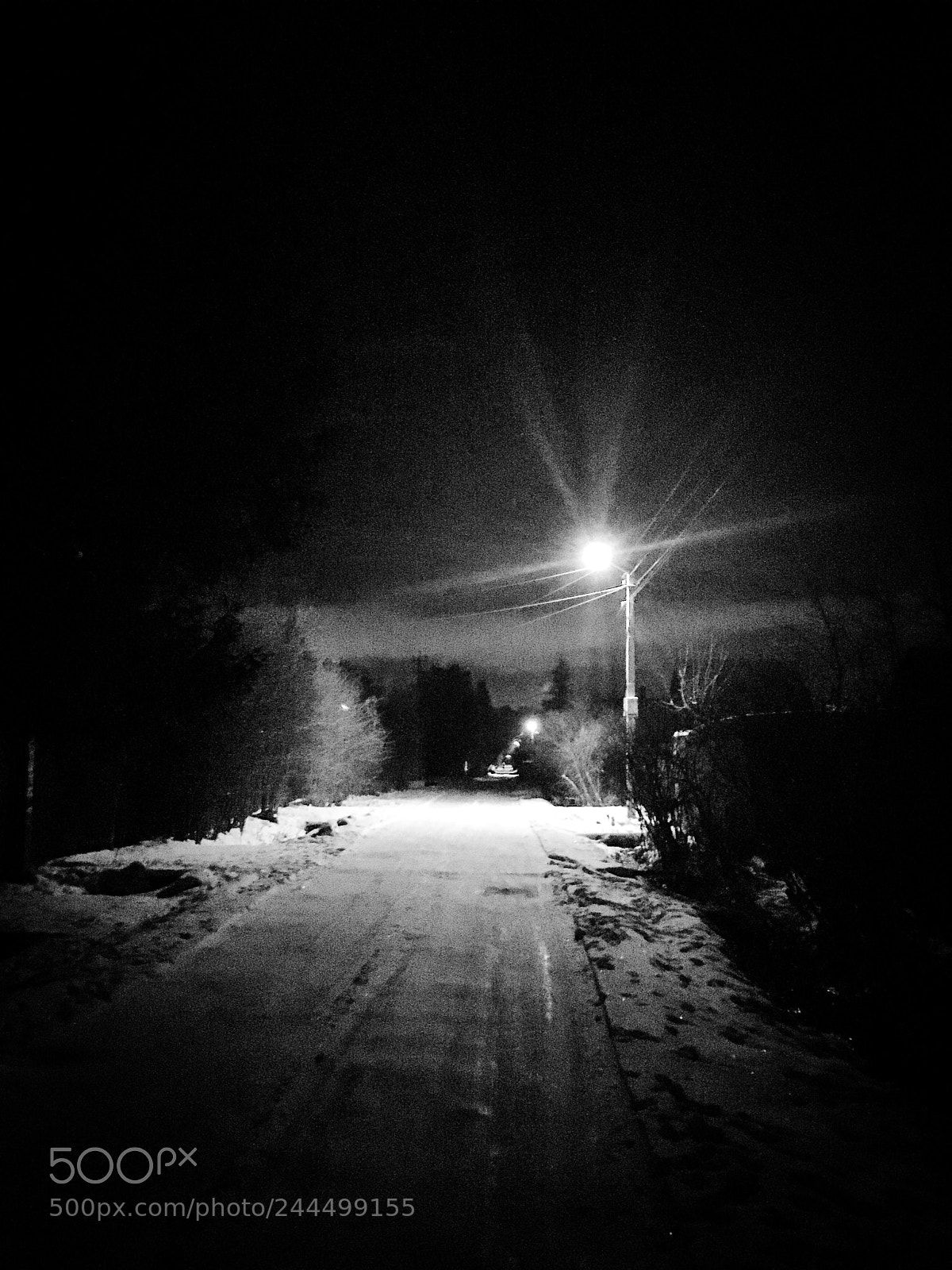 Apple iPhone SE sample photo. Untitled photography