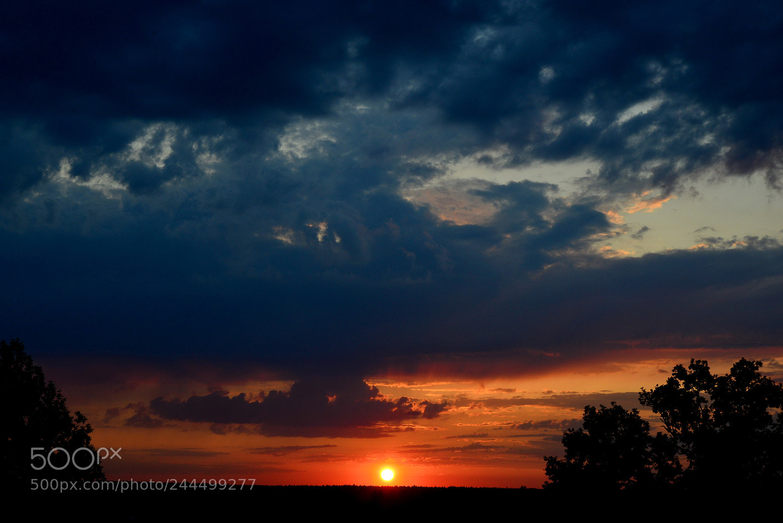 Nikon D600 sample photo. Sunset photography