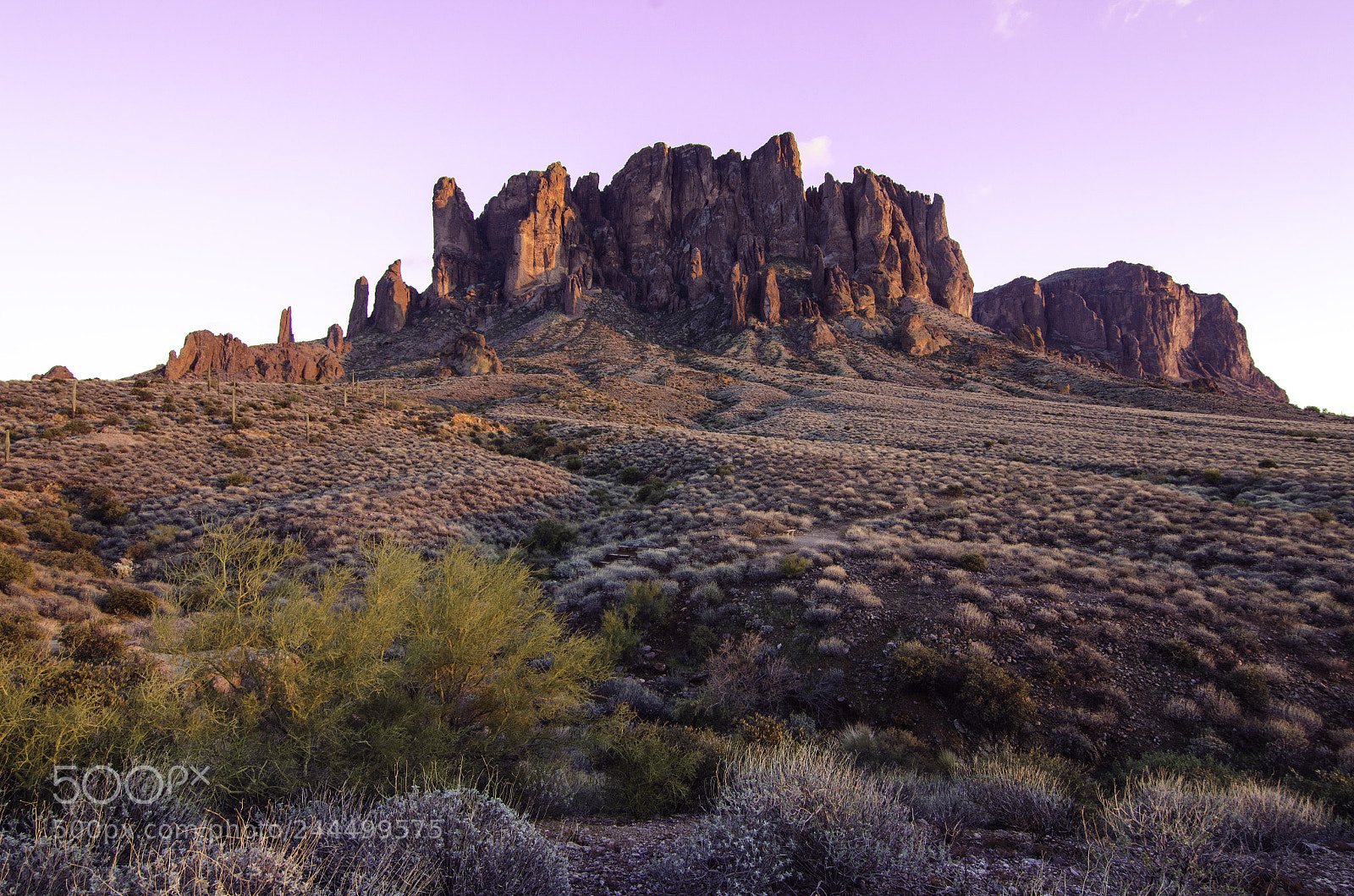 Nikon D5100 sample photo. Superstitions photography