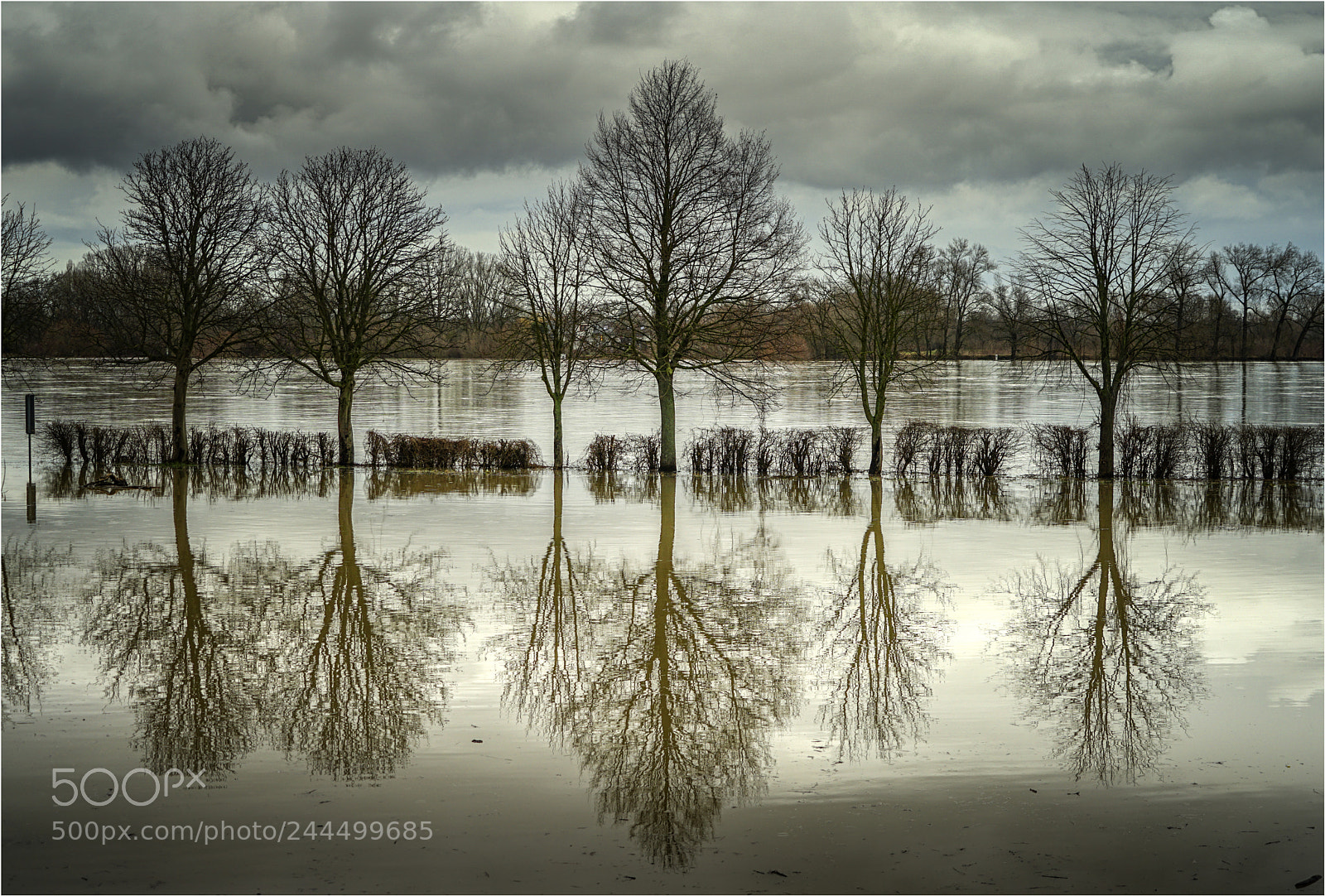 Sony a7 II sample photo. Reflejos photography