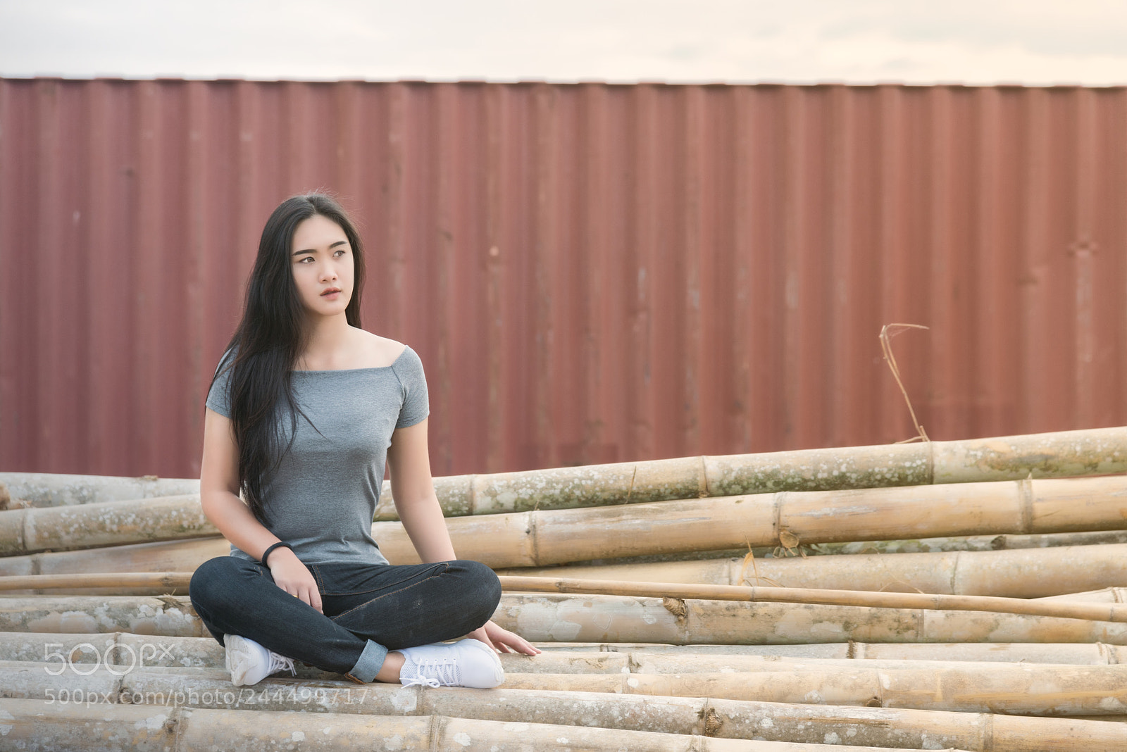Nikon D810 sample photo. _cha1474-1.jpg photography