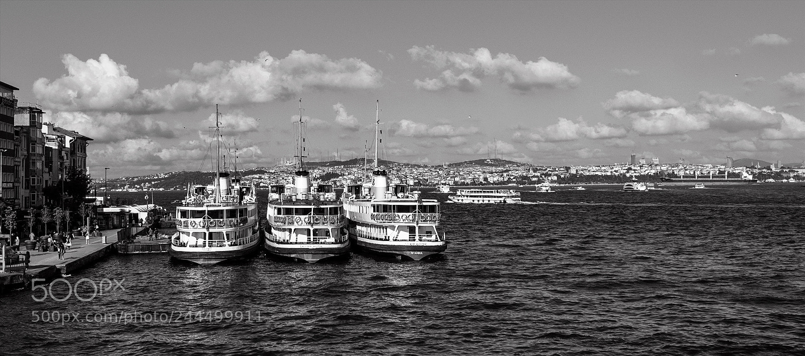 Nikon D610 sample photo. Vapur photography