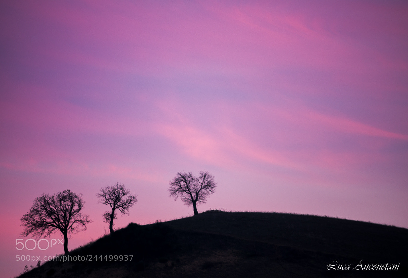 Nikon D610 sample photo. Sunset colors photography