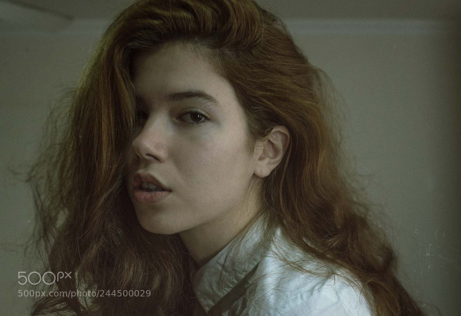 Nikon D600 sample photo. Lemoot photography