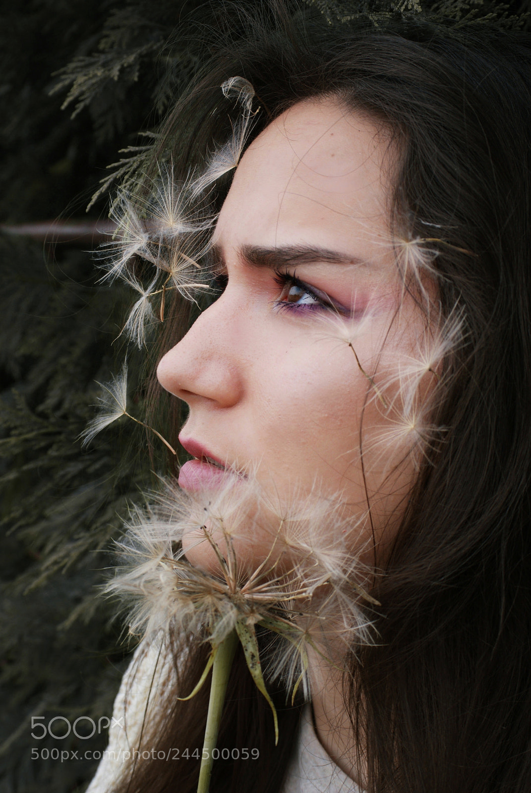 Sony Alpha DSLR-A300 sample photo. Bruna photography