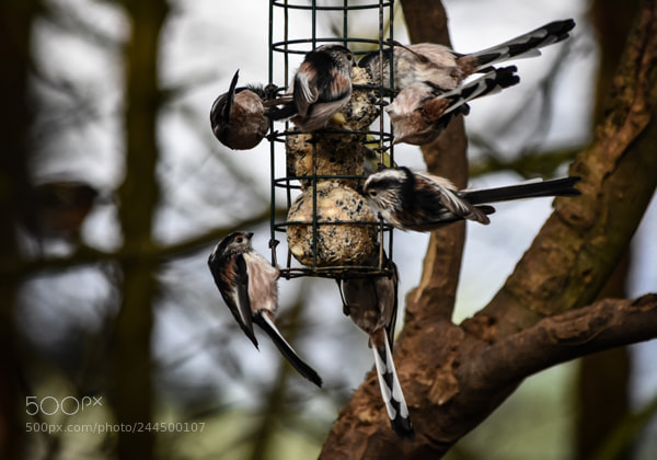 Nikon D7200 sample photo. Ladybower edits () photography