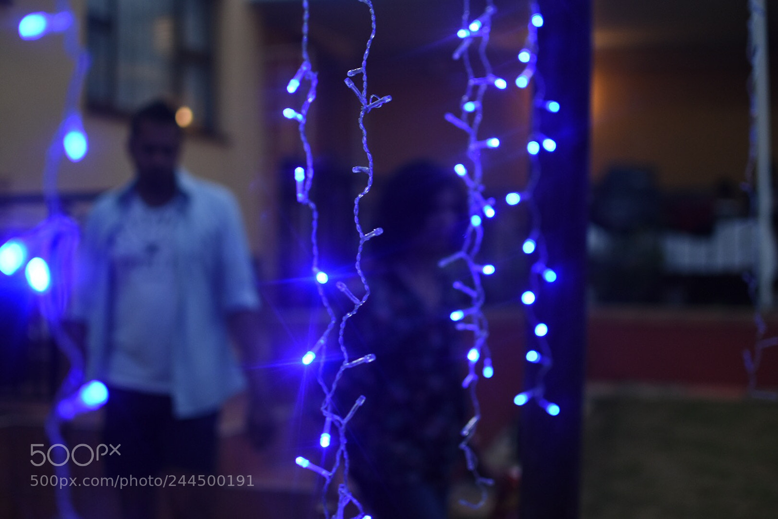 Nikon D7200 sample photo. Untitled photography
