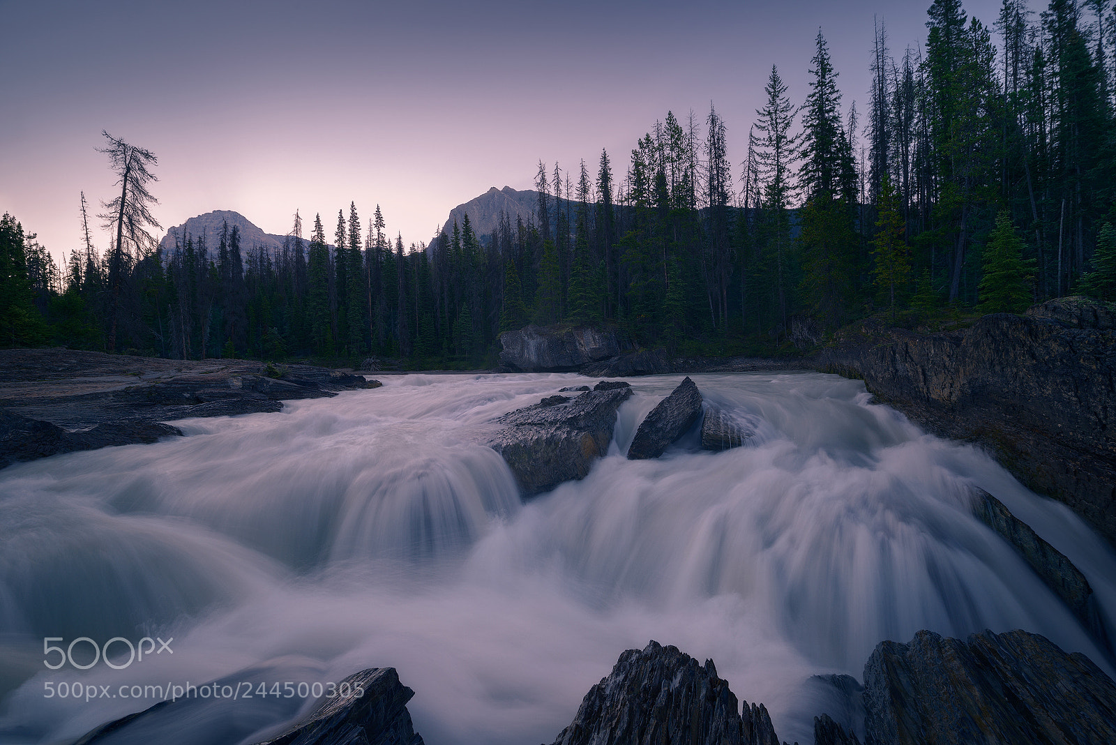 Nikon D800 sample photo. Natural bridge photography