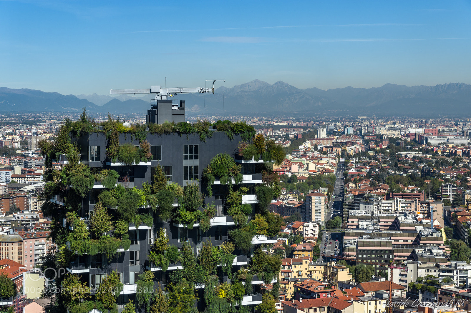 Pentax K-3 sample photo. Bosco verticale photography